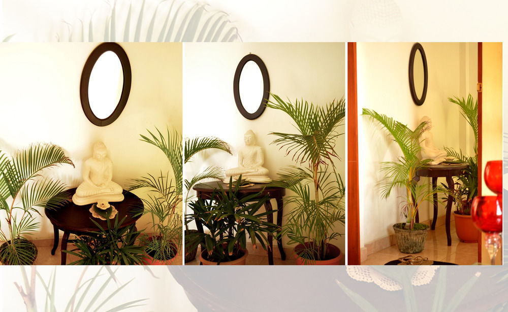 Frangipani Apartment Dehiwala-Mount Lavinia Ngoại thất bức ảnh